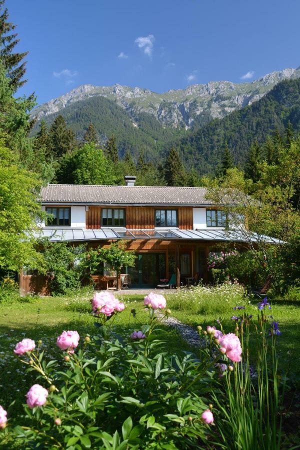 Petra Maria Sölle - Ferienhaus sehr privat Presseggersee Exterior foto